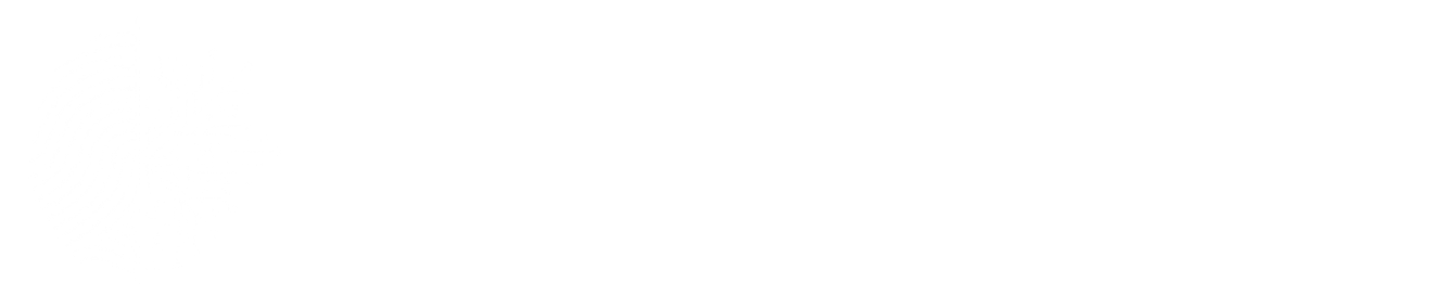 Amplify Intelligence